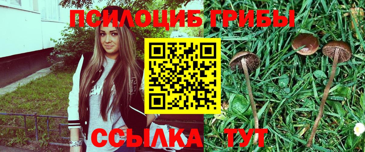 Псилоцибиновые грибы Magic Shrooms  купить   Салехард  Псилоцибиновые грибы GOLDEN TEACHER  Вход с VPN 